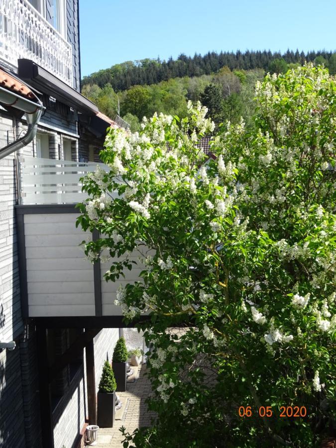Fewo Hage Langelsheim Luaran gambar