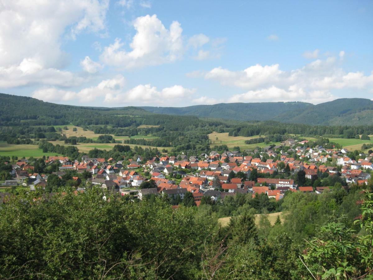 Fewo Hage Langelsheim Luaran gambar