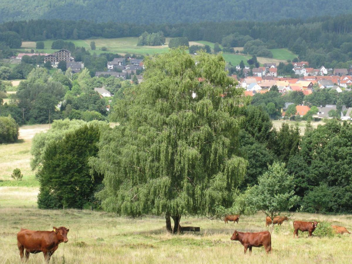 Fewo Hage Langelsheim Luaran gambar